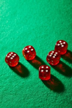 sans live casino and sports dashboard screenshot
